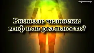 Биополе человека: миф или реальность? Величко М.В.