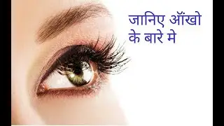 आॅंखो की जानकारी। information of eyes