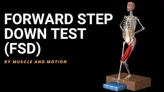 Assessing Lower Limb Functionality with the Forward Step Down Test