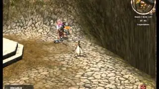 BatleField VS NEBULA Metin2 rOx server 4ever