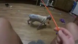 Захват OSCARa. Играемся.