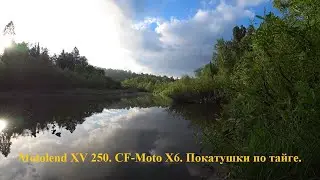MotoLand VR 250, CF-Moto X-6. Irbis TTR 250. По катушки по тайге.