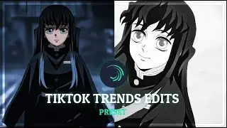 Tiktok trends anime edits presets |alight motion