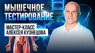 Функциональное мышечное тестирование таза и ТБС. Мастер-класс для участников конференции IQ-Fitness.