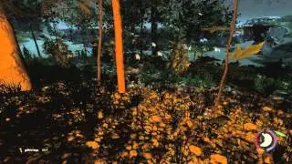 TheForest 4 (Начало великой жизни)