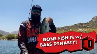 Bass Fishing with Bass Dynasty in Skeeter Bass Boat - ( The Addambom Show )