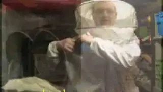 hive of capanacity - orbital 