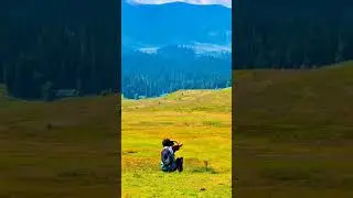 Kashmir is a  beautiful place #kashmiri #nicevideo #foryoupage #trendingshorts #shorts #foryou