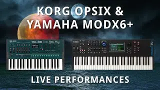 Korg OPSIX + MODX Live Performances
