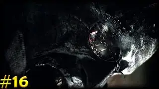 RESIDENT EVIL 6 Walkthrough Gameplay Part 16 - LEON & HELENA (No Commentary)
