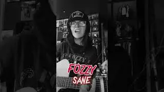 #fozzy #chrisjericho #sane #fypシ #foryou #fyp #foryoupage #guitar @ChrisJerichoFozzy  #tiktok #viral