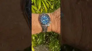Jungle Rain Shower Seiko Prospex Great Blue Hole mm200 spb083j1