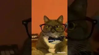 урок французского