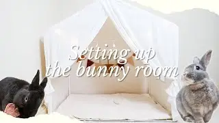 Setting up the bunny room - new tent