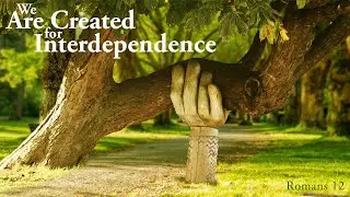 10/13/2024   We Are Created for Interdependence