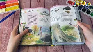 Книга Новая детская энциклопедия Животные