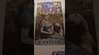 есть ли перспектива  и потенциал