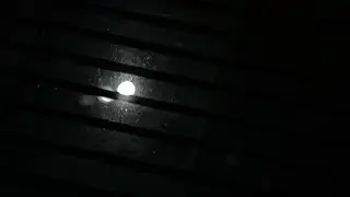 nyctophobia