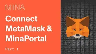 How to Connect MinaPortal to MetaMask