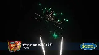 P7292 Мулатка