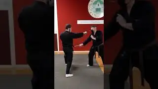 Basic Kama training by ZInjutsu Kung Fu