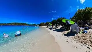 Virgin Islands Beach Walk - Coki Point - January 23, 2023 - St. Thomas, USVI