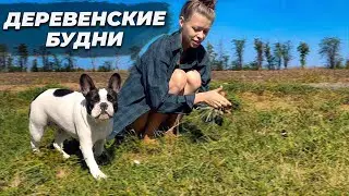 УБОРКА В КУРЯТНИКЕ | ТВОРЧЕСТВО В ДЕРЕВНЕ