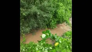 Barsat ho Rahi he