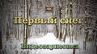 Первый снег❄️Видеозарисовка