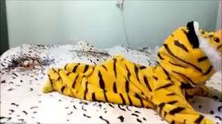 Кигуруми тигр
