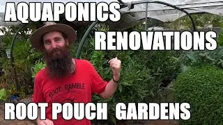 Aquaponics, Renovation & Root Pouch Garden Update