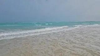 Жизнь у моря 🌊 Каждый день мы голосуем. Не на выборах…