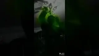 Лайк(4)