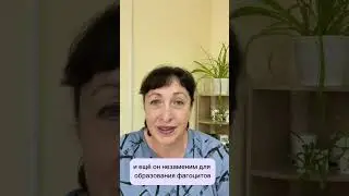 Йододефицит - главная пандемия 21 века. Хочешь истребить нацию - убери у нее из рациона йод
