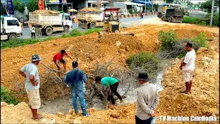 1DAY Full Action Project Land Filling Up KOMATSU Dozer D31P Pushing Stone And Truck 5T Unloading