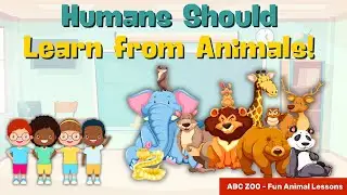11 Powerful Lessons We Can Learn from Animals | ABC ZOO Fun Animal Lessons