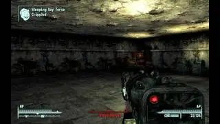 Fallout 3-Cut items