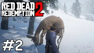 Идем на первую охоту - Red Dead Redemption 2 #2