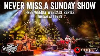 Widespread Panic - Never Miss A Sunday Show - 6/17/2007 at Bonnaroo Music Festival