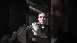 Keeper Aaron Zoo Keeper Week