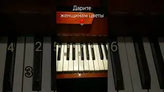 Дарите женщинам цветы туториал пианино. #piano #tutorial #pianotutorial #trendingshorts
