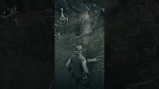 RDR2 Glitched Skinner Brothers Random Encounter 