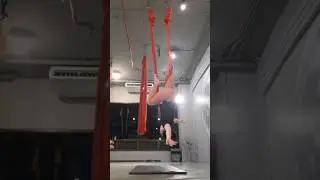 Aerial hammock 23 Aug 2024 part 2
