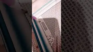 Рофл