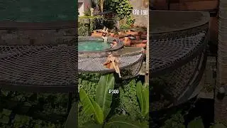 Топ локация за 300₽                               Это Бали район Убуд