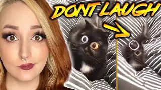 When You Get The GOOD SUCC | Try Not To SMILE or LAUGH | 103