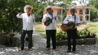 El Caballito: Trió Los Caimanes De La Sierra