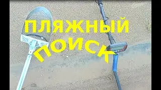 Находки на пляже!