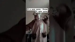 arrararararwrrarwrwrwrrarwrwrwrwrrrr