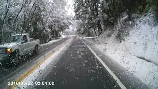 Snowy Days
